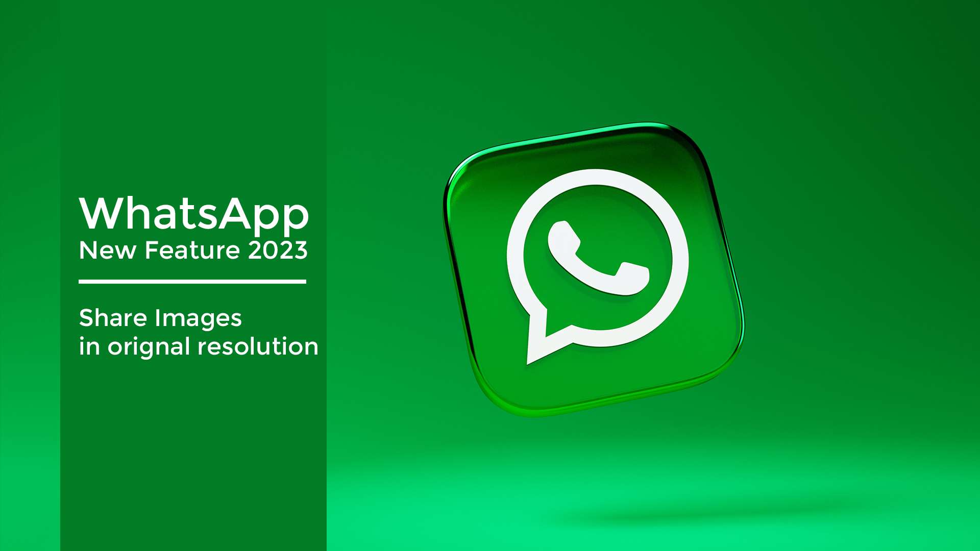 KnowledgeKapital: WhatsApp Feature